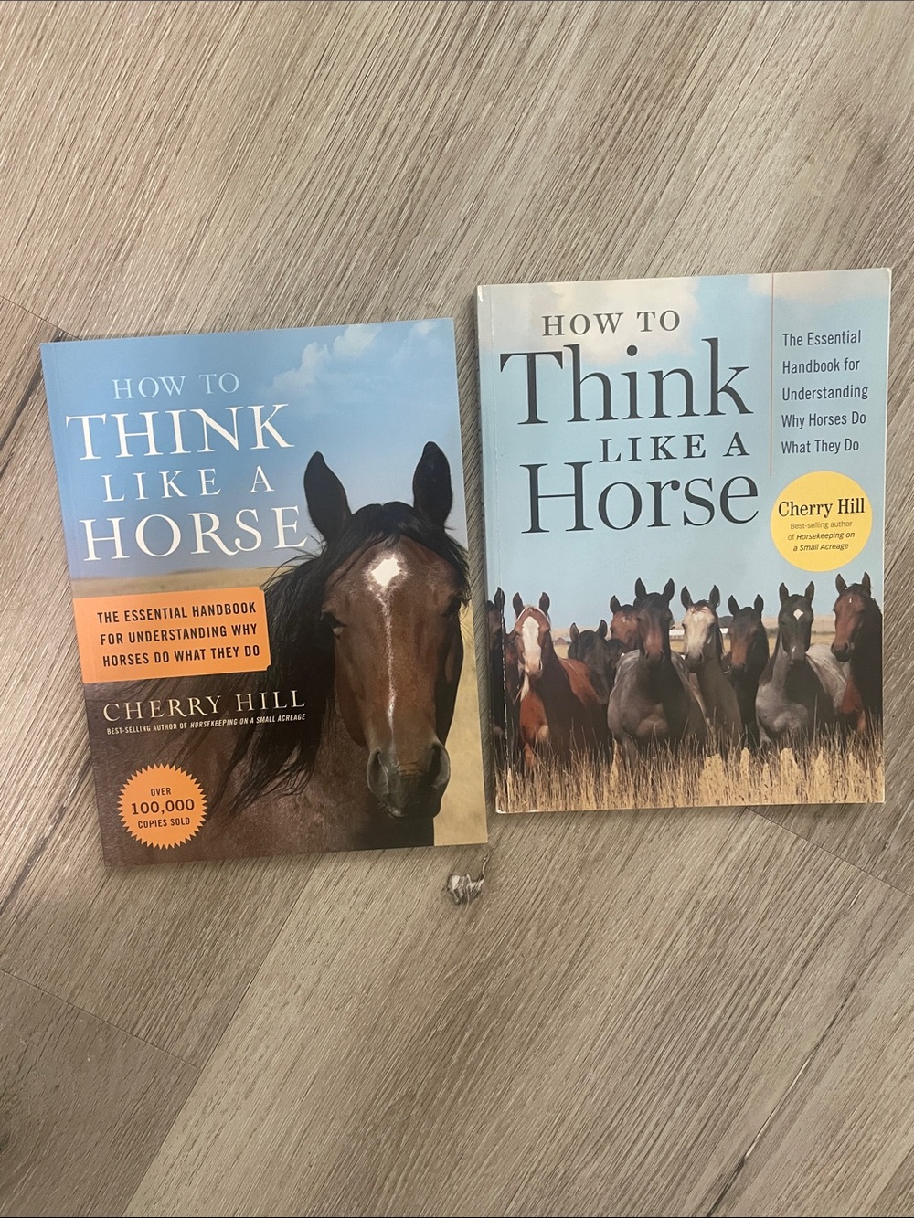 How to Think Like a Horse by Cherry Hill - Set of Two | Essential Handbook